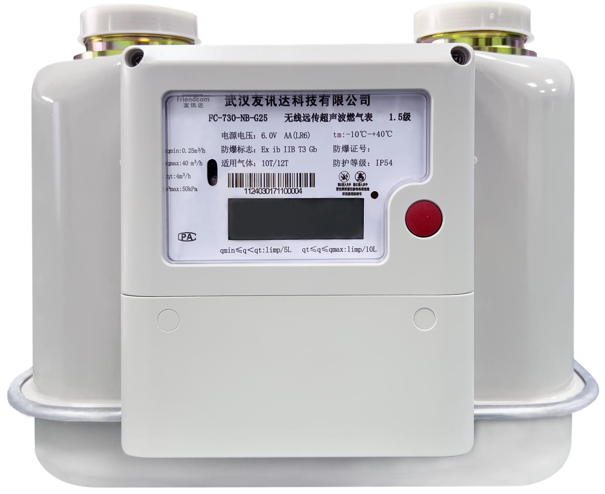 RadonUltrasonic Gas Meter G16/G25