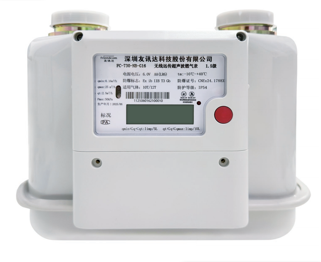 FC-730 Ultrasonic Gas Meter