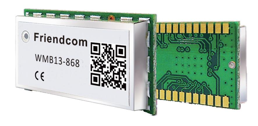 Wireless M-Bus Module WMB14-868