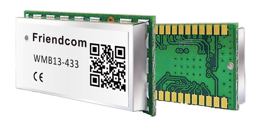 Wireless M-Bus Module WMB14-433