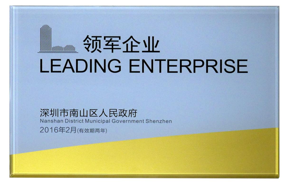 Leading Enterprise