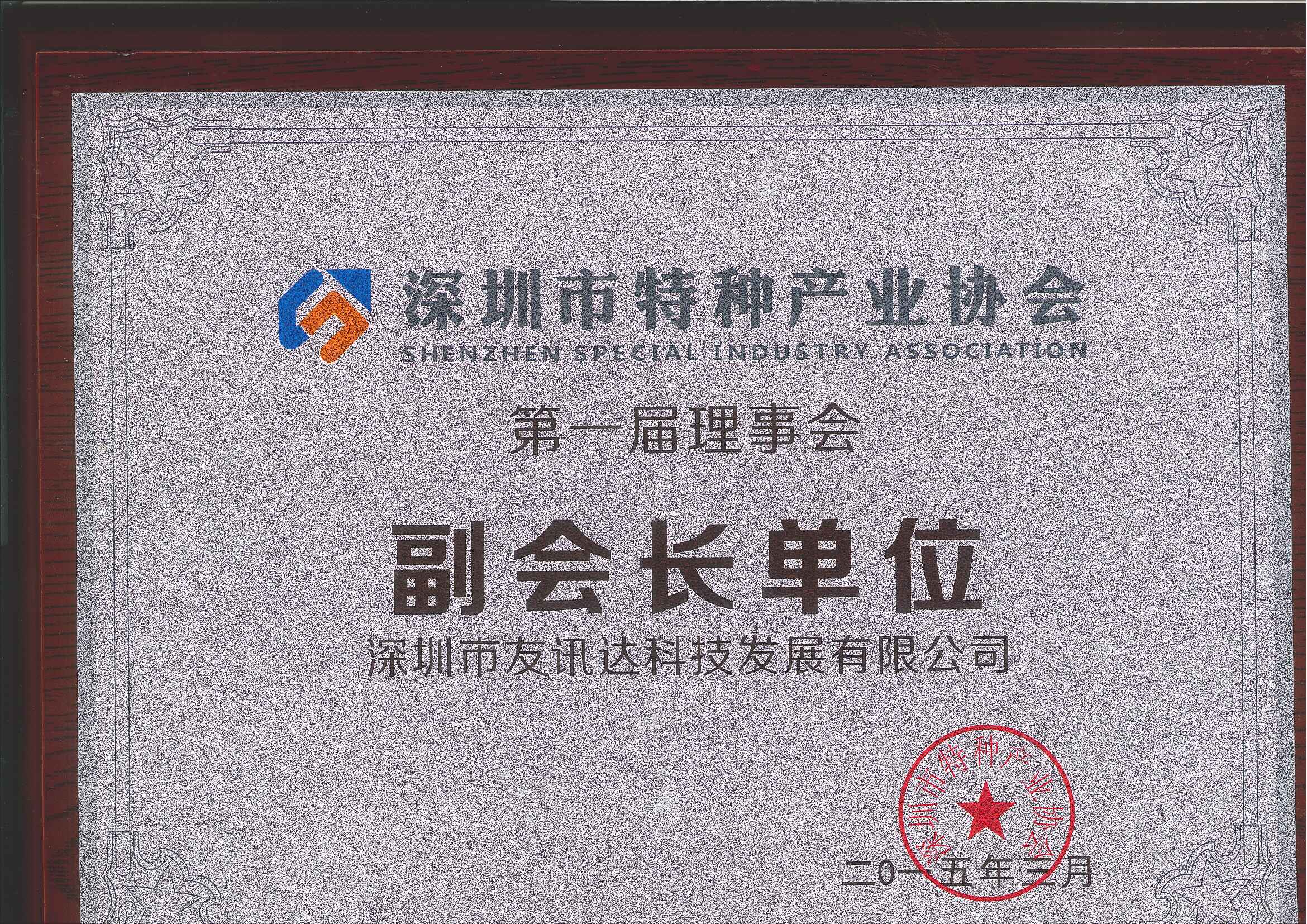 Vice President Company of Special Industry Association